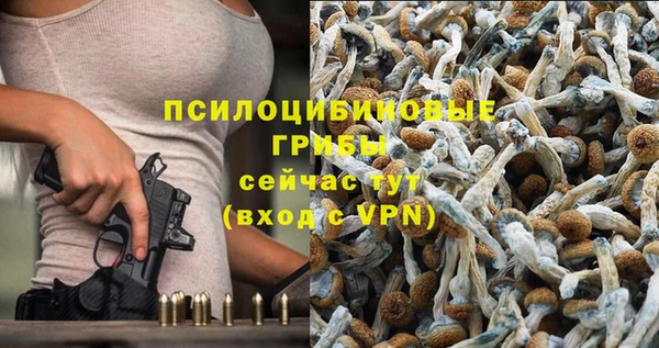apvp Строитель