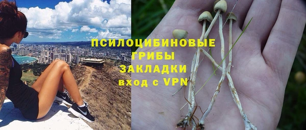 apvp Строитель