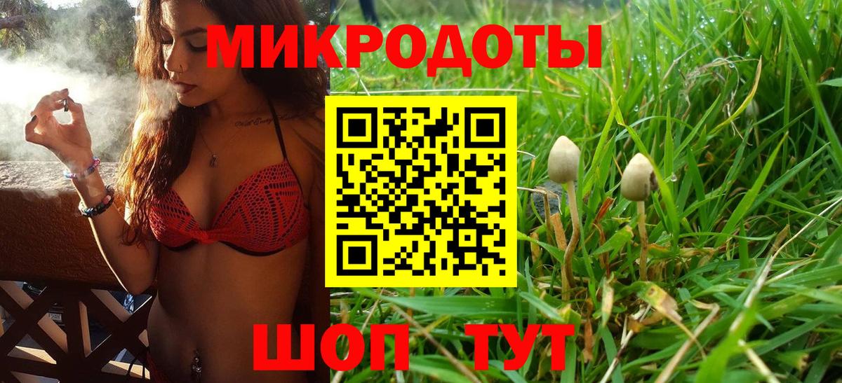 Галлюциногенные грибы Magic Shrooms Тосно