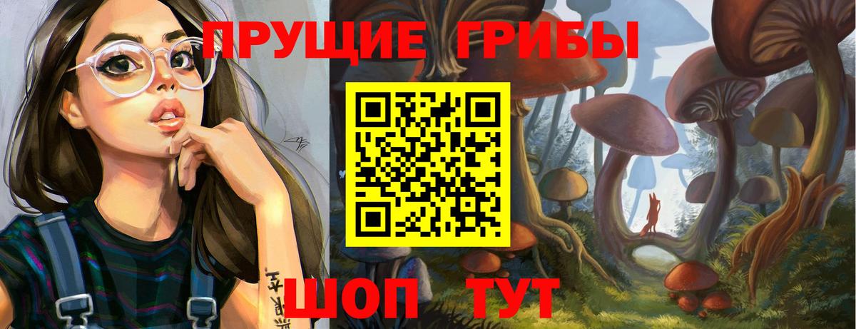 Тосно  Псилоцибиновые грибы мицелий  Вход с VPN 