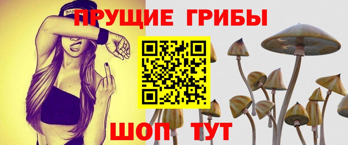 Галлюциногенные грибы ЛСД Тосно