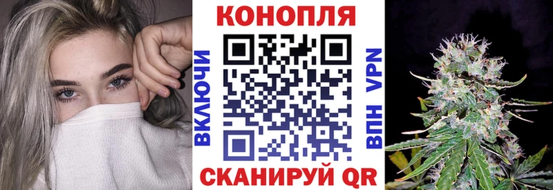 shop формула Тосно Шишки марихуана MAZAR где купить наркоту