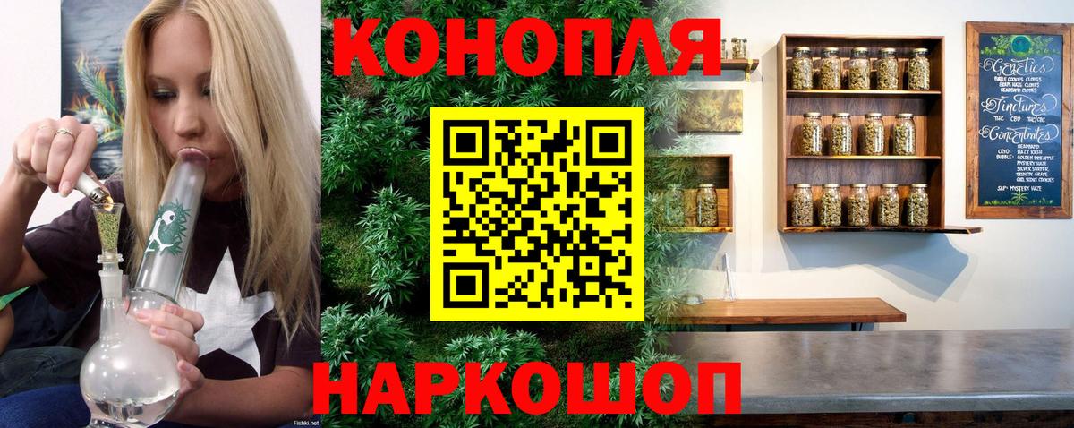 Каннабис ГИДРОПОН Тосно